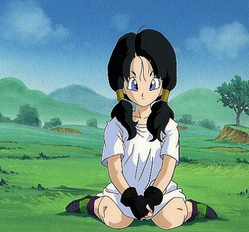 videl.jpg